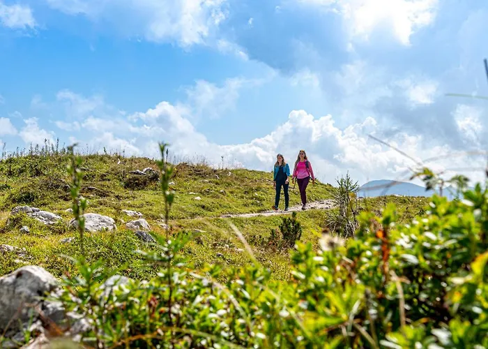 Lejlighedshotel 's Mitterndorf 4*