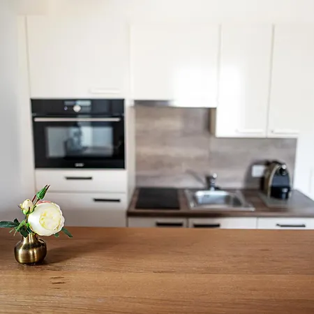 's Mitterndorf Appart hôtel Traunkirchen