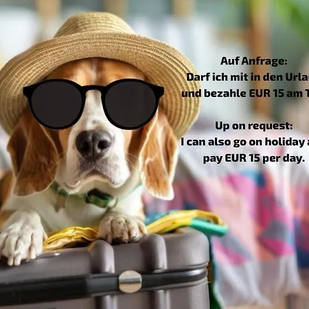 's Mitterndorf Traunkirchen