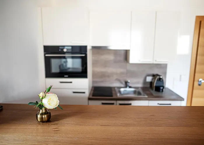 's Mitterndorf Lägenhetshotell Traunkirchen