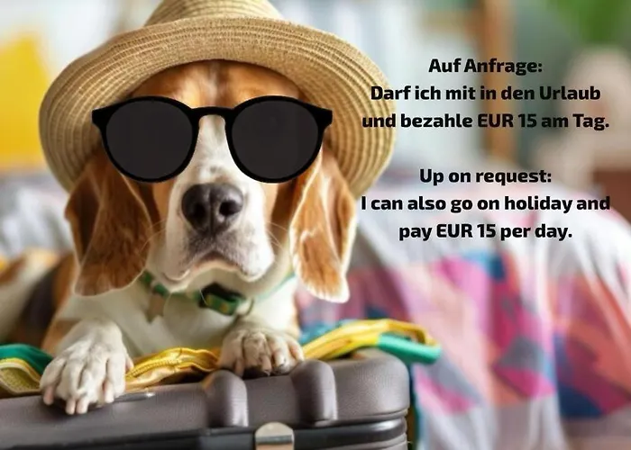 أبارتمنتهوتيلز ميترندورف تروكيرشن